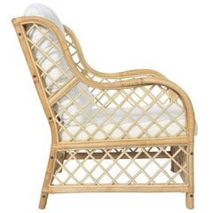 Krėslas su pagalvėlėmis, rudas kaina ir informacija | Lauko kėdės, foteliai, pufai | pigu.lt