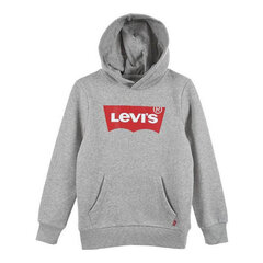 Džemperis vaikams Levi's Batwing Screenprint, pilkas kaina ir informacija | Megztiniai, bluzonai, švarkai berniukams | pigu.lt