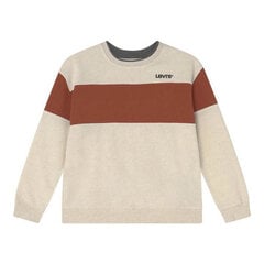 Džemperis vaikams Levi's Colorblock Crewneck S6424626, rudas kaina ir informacija | Megztiniai, bluzonai, švarkai berniukams | pigu.lt
