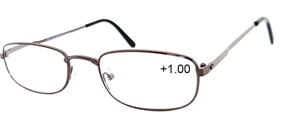 Skaitymo akiniai RE1058 kaina ir informacija | Akiniai | pigu.lt