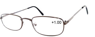 Skaitymo akiniai RE1058 kaina ir informacija | Akiniai | pigu.lt