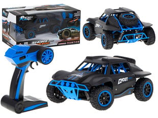 Черный игрушечный раллийный автомобиль RC RACING RALLY 2.4 GHZ 4WD 1:18 цена и информация | Игрушки для мальчиков | pigu.lt