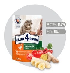 CLUB 4 PAWS Premium visavertis konservuotas ėdalas suaugusioms katėms su antiena padaže, 100 g x 24 vnt. kaina ir informacija | Konservai katėms | pigu.lt