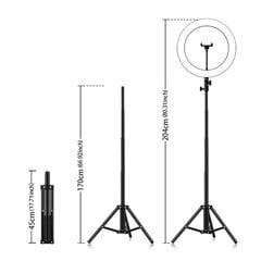 Светодиодная лампа - кольцо , 30см с подставкой 2м и телефоном держатель цена и информация | Осветительное оборудование для фотосъемки | pigu.lt
