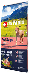 Sausas maistas šunims Ontario Adult Large Lamb & Rice, 12 kg kaina ir informacija | Sausas maistas šunims | pigu.lt