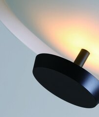 Lubinis šviestuvas Jing 18W, Ø400mm, 3000K kaina ir informacija | Lubiniai šviestuvai | pigu.lt