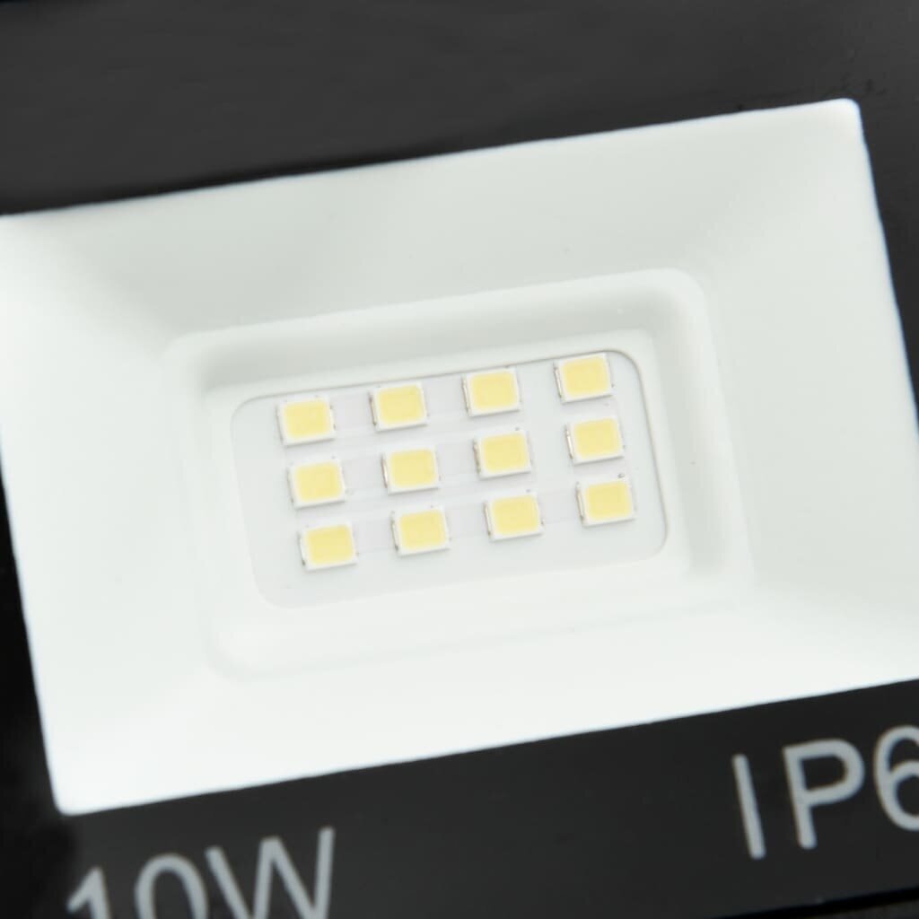 LED prožektoriai, 10 W kaina ir informacija | Žibintai ir prožektoriai | pigu.lt