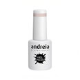 Nagų lakas Andreia 271, 10.5 ml