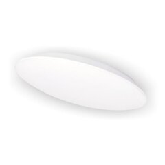 Настенный светодиодный светильник SORA, 12W цена и информация | Потолочные светильники | pigu.lt