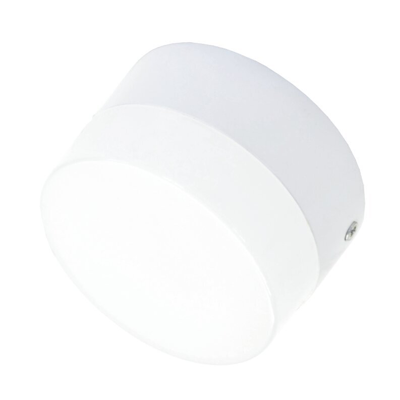 Paviršinis apvalus LED šviestuvas "Tora" 6W kaina ir informacija | Lubiniai šviestuvai | pigu.lt