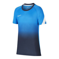 Sportiniai marškinėliai vaikams Nike Dri-FIT Academy, mėlyni kaina ir informacija | Marškinėliai berniukams | pigu.lt