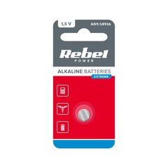 аккумулятор rebel extreme ag9 1 шт. цена и информация | Батарейки | pigu.lt