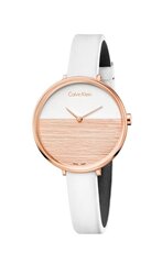 Laikrodis vyrams Calvin Klein K7A236LH kaina ir informacija | Vyriški laikrodžiai | pigu.lt