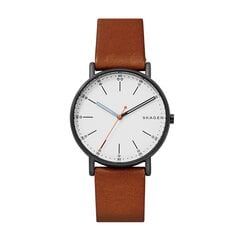 Мужские часы Skagen Signatur цена и информация | Мужские часы | pigu.lt