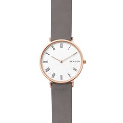 Laikrodis vyrams Skagen SKW2674 цена и информация | Мужские часы | pigu.lt
