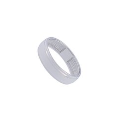 Sidabrinis žiedas kaina ir informacija | Žiedai | pigu.lt