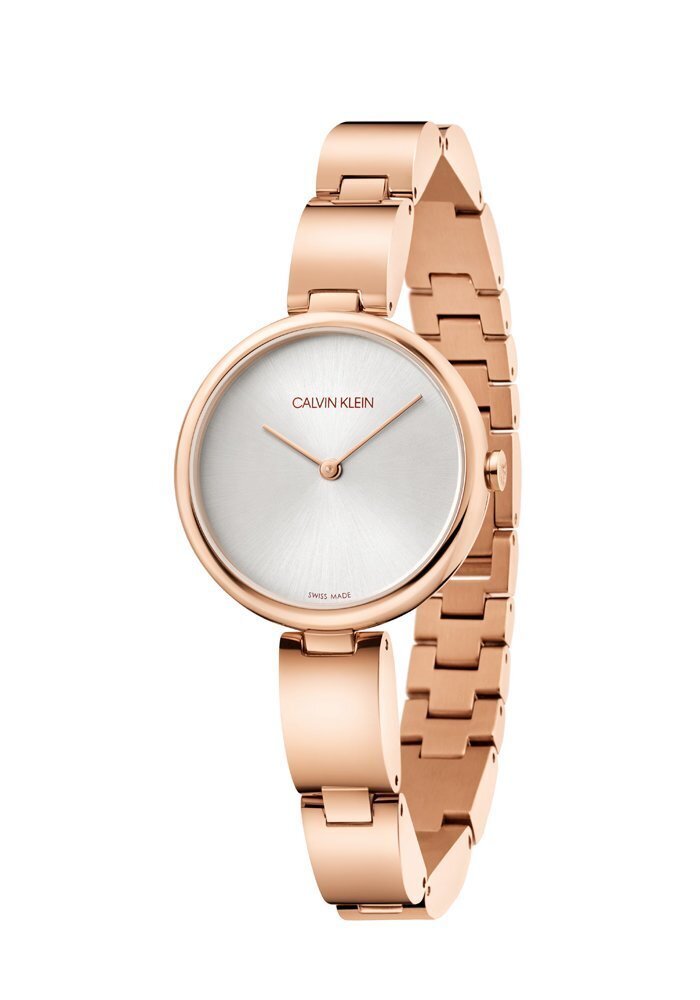 Moteriškas laikrodis Calvin Klein K9U23646 цена и информация | Moteriški laikrodžiai | pigu.lt