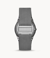Laikrodis vyrams Skagen SKW6575 цена и информация | Мужские часы | pigu.lt