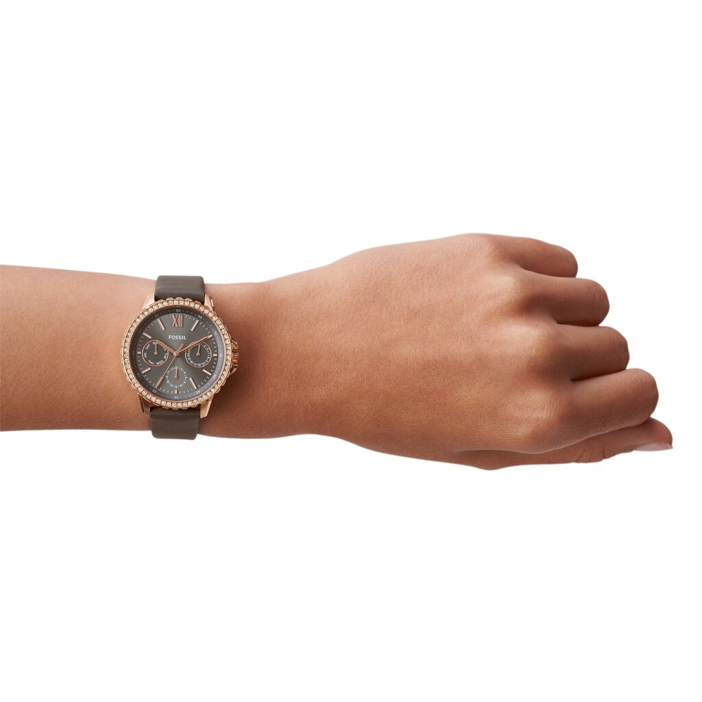 Moteriškas laikrodis Fossil kaina ir informacija | Moteriški laikrodžiai | pigu.lt