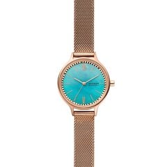 Moteriškas laikdoris Skagen kaina ir informacija | Moteriški laikrodžiai | pigu.lt