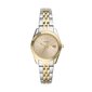 Moteriškas laikrodis Fossil ES4949 цена и информация | Moteriški laikrodžiai | pigu.lt
