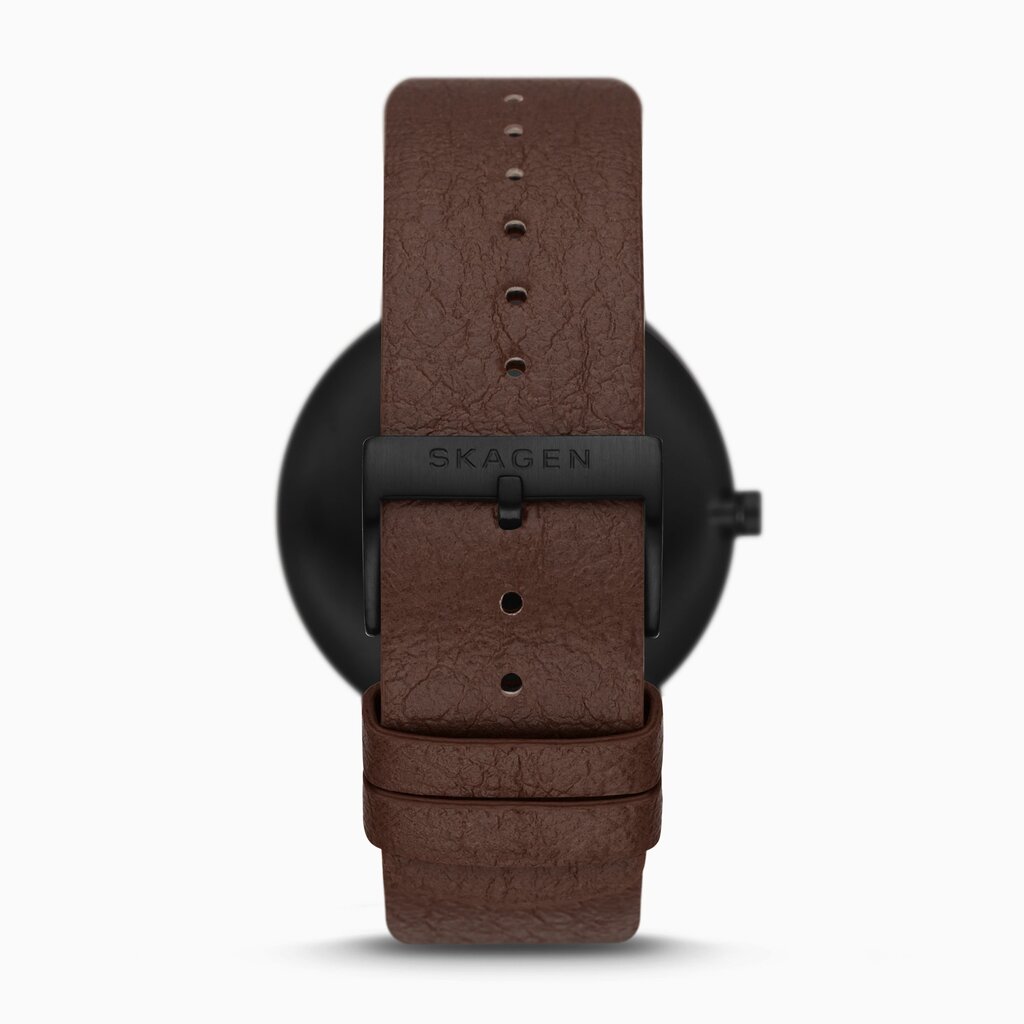 Vyriškas laikrodis Skagen kaina ir informacija | Vyriški laikrodžiai | pigu.lt
