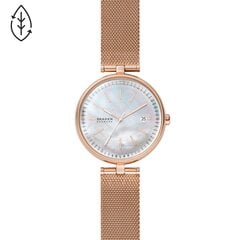 Moteriškas laikdoris Skagen kaina ir informacija | Moteriški laikrodžiai | pigu.lt