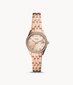 Moteriškas laikrodis Fossil ES5038 kaina ir informacija | Moteriški laikrodžiai | pigu.lt