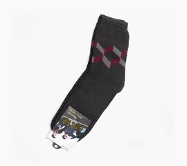 Vyriškos kojinės kaina ir informacija | Vyriškos kojinės | pigu.lt