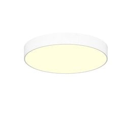 Светодиодный потолочный светильник Concise 48 Вт, Ø450 мм, белый цена и информация | Потолочные светильники | pigu.lt