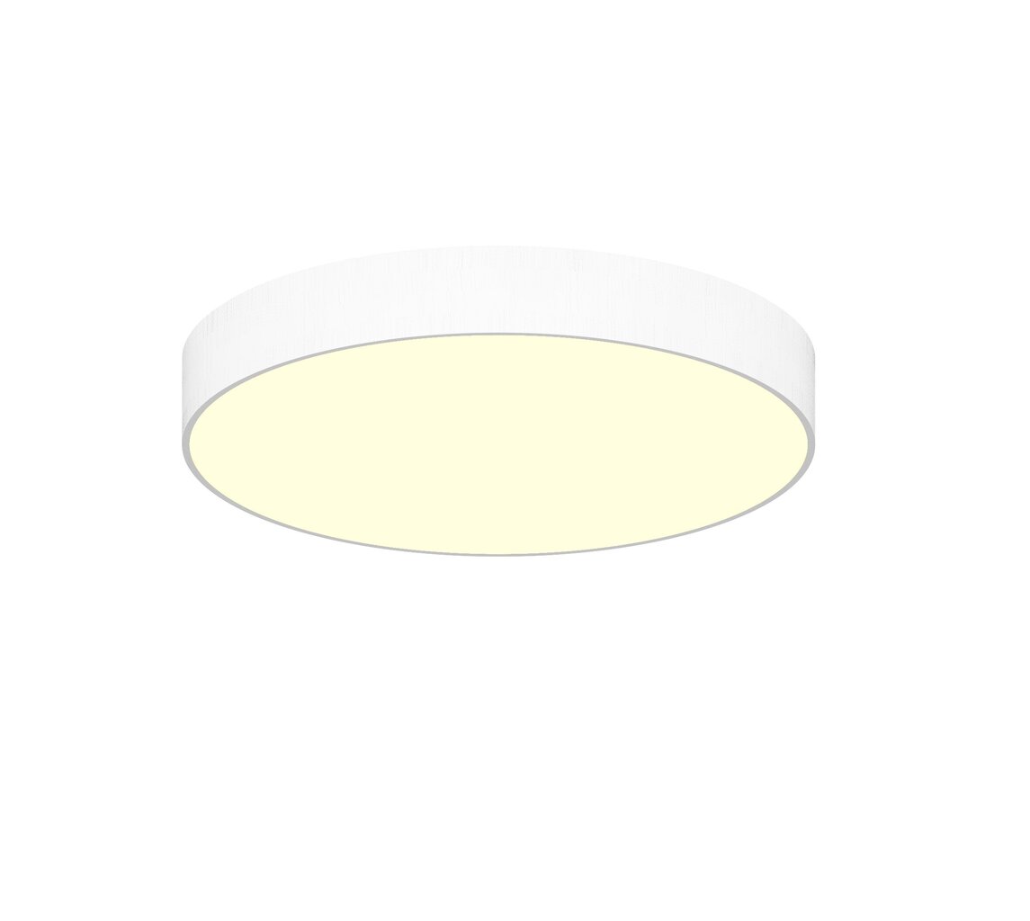 Lubinis LED šviestuvas Concise 48W, Ø450mm kaina ir informacija | Lubiniai šviestuvai | pigu.lt