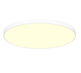 Настенный светильник Flash_AP1_Cromo цена и информация | Потолочные светильники | pigu.lt