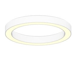 Накладной / подвесной круглый светодиодный кольцевой светильник 60Вт, Ø600 мм, белый, диммируемый цена и информация | Потолочные светильники | pigu.lt