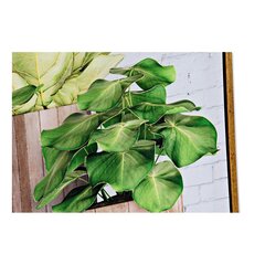 Картина DKD Home Decor, 2 шт цена и информация | Репродукции, картины | pigu.lt