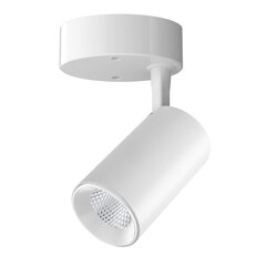 Lubinis baltas LED šviestuvas Tela 10W kaina ir informacija | Lubiniai šviestuvai | pigu.lt