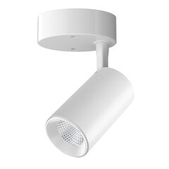Lubinis baltas LED šviestuvas Tela 7W kaina ir informacija | Lubiniai šviestuvai | pigu.lt