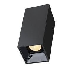Lubinis juodas LED šviestuvas Tanga 15W kaina ir informacija | Lubiniai šviestuvai | pigu.lt
