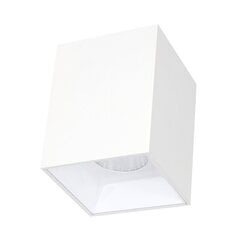 Lubinis baltas LED šviestuvas Tanga 7W kaina ir informacija | Lubiniai šviestuvai | pigu.lt