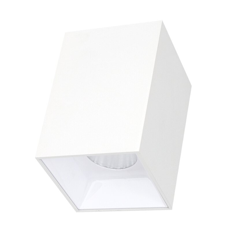 Lubinis baltas LED šviestuvas Tanga 12W цена и информация | Lubiniai šviestuvai | pigu.lt
