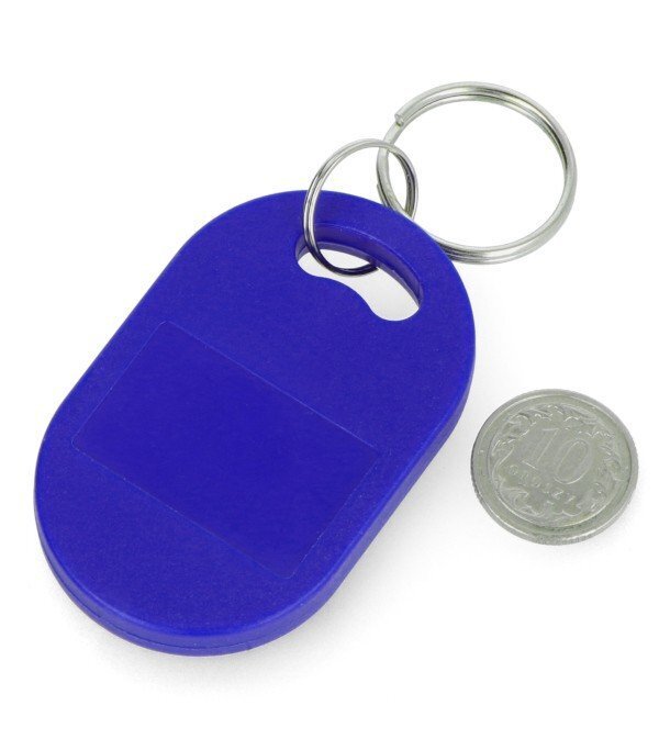 125MHz RFID raktų pakabukas - 10 vnt. kaina ir informacija | Raktų pakabukai | pigu.lt
