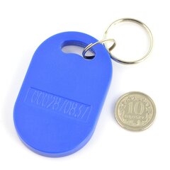 RFID raktų pakabukas - 10 vnt. kaina ir informacija | Raktų pakabukai | pigu.lt