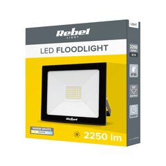 LED prožektorius Rebel 30W (36x2835 SMD) 3000K 230V kaina ir informacija | Žibintuvėliai, prožektoriai | pigu.lt