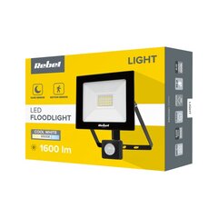 LED prožektorius Rebel, 20W, 6500K kaina ir informacija | Žibintuvėliai, prožektoriai | pigu.lt
