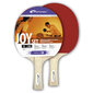 Stalo teniso rinkinys Spokey Joy Set цена и информация | Stalo teniso raketės, dėklai ir rinkiniai | pigu.lt