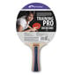 Stalo teniso raketė „Spokey Training Pro“. kaina ir informacija | Stalo teniso raketės, dėklai ir rinkiniai | pigu.lt