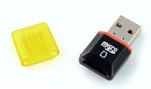 AK242C microSD SDHC kaina ir informacija | Adapteriai, USB šakotuvai | pigu.lt