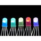 LED diodas Adafruit NeoPixel WS2812B 5mm, 5vnt. kaina ir informacija | LED juostos | pigu.lt