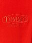 Džemperis vyrams Tommy Jeans 8720112493232 kaina ir informacija | Džemperiai vyrams | pigu.lt
