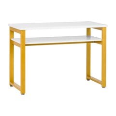 Профессиональный маникюрный стол 17G WHITE цена и информация | Мебель для салонов красоты | pigu.lt