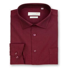 Vyriški marškiniai Nordic kaina ir informacija | Vyriški marškiniai | pigu.lt